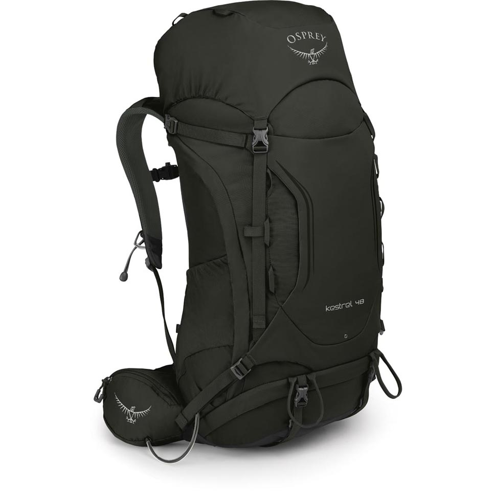 osprey kestrel 48 picholine green